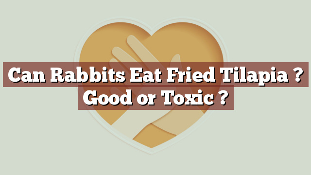 Can Rabbits Eat Fried Tilapia ? Good or Toxic ?