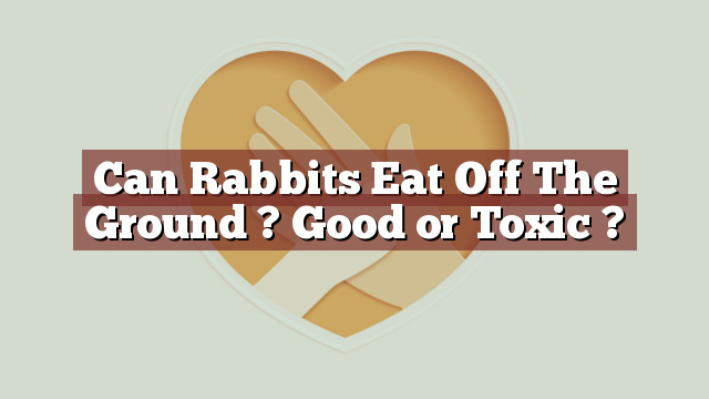 Can Rabbits Eat Off The Ground ? Good or Toxic ?