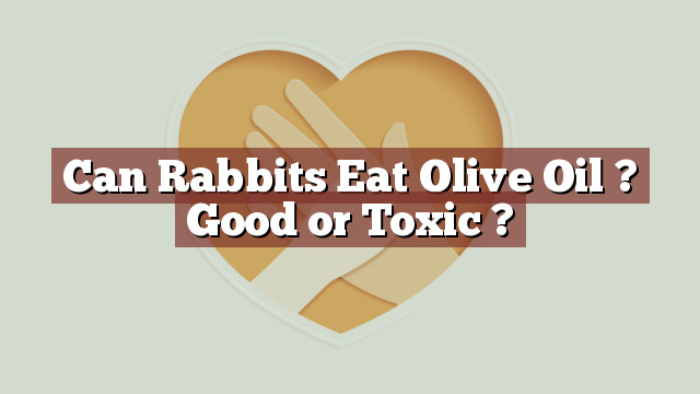 Can Rabbits Eat Olive Oil ? Good or Toxic ?