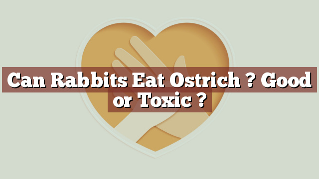 Can Rabbits Eat Ostrich ? Good or Toxic ?
