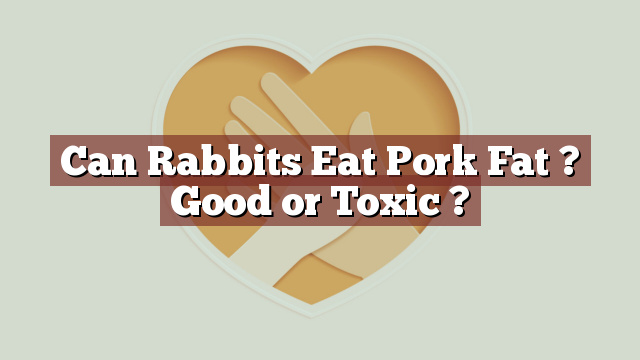 Can Rabbits Eat Pork Fat ? Good or Toxic ?