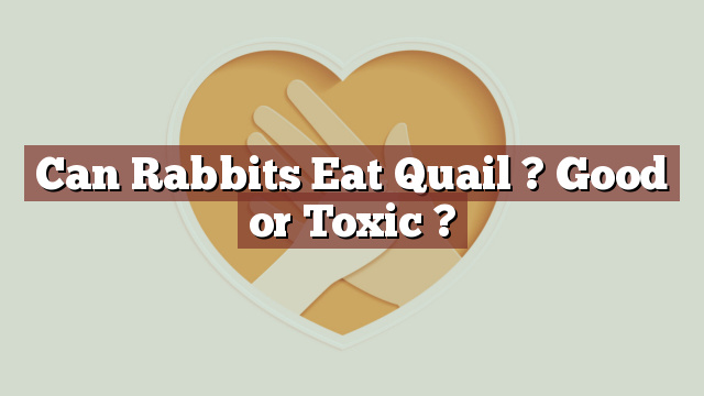 Can Rabbits Eat Quail ? Good or Toxic ?