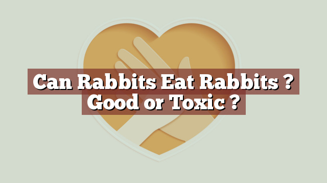 Can Rabbits Eat Rabbits ? Good or Toxic ?