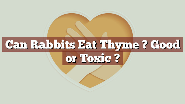 Can Rabbits Eat Thyme ? Good or Toxic ?