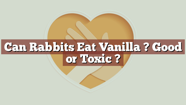 Can Rabbits Eat Vanilla ? Good or Toxic ?