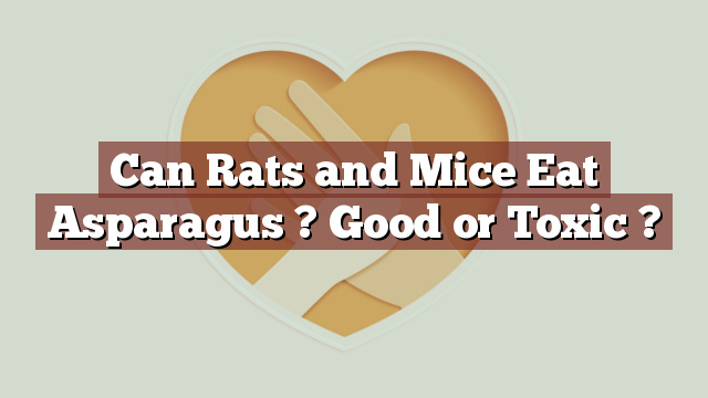 Can Rats and Mice Eat Asparagus ? Good or Toxic ?