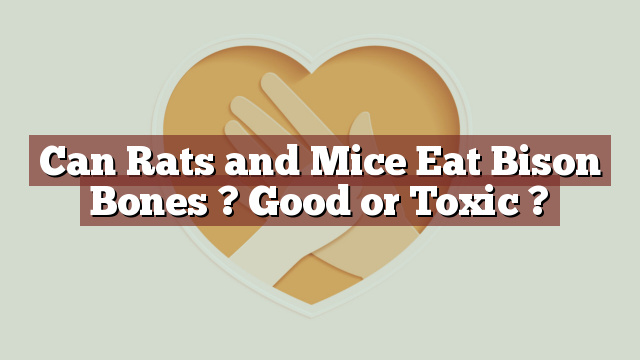 Can Rats and Mice Eat Bison Bones ? Good or Toxic ?