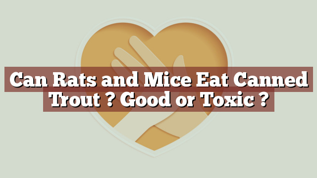 Can Rats and Mice Eat Canned Trout ? Good or Toxic ?