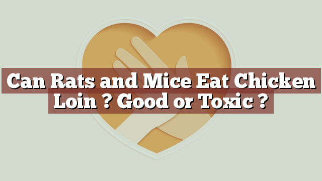 Can Rats and Mice Eat Chicken Loin ? Good or Toxic ?