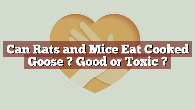 Can Rats and Mice Eat Cooked Goose ? Good or Toxic ?