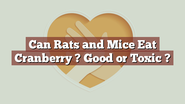 Can Rats and Mice Eat Cranberry ? Good or Toxic ?