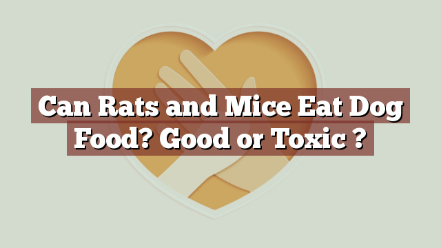 Can Rats and Mice Eat Dog Food? Good or Toxic ?