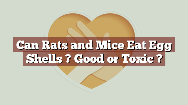 Can Rats and Mice Eat Egg Shells ? Good or Toxic ?