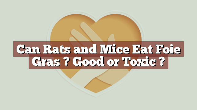 Can Rats and Mice Eat Foie Gras ? Good or Toxic ?