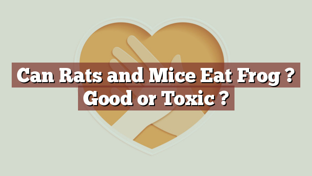 Can Rats and Mice Eat Frog ? Good or Toxic ?