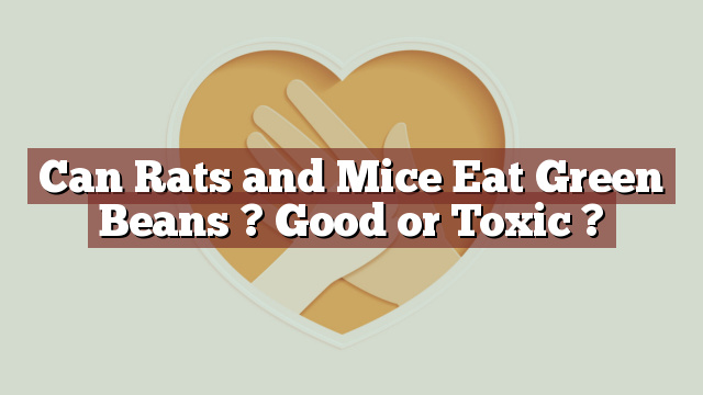 Can Rats and Mice Eat Green Beans ? Good or Toxic ?