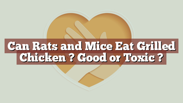 Can Rats and Mice Eat Grilled Chicken ? Good or Toxic ?
