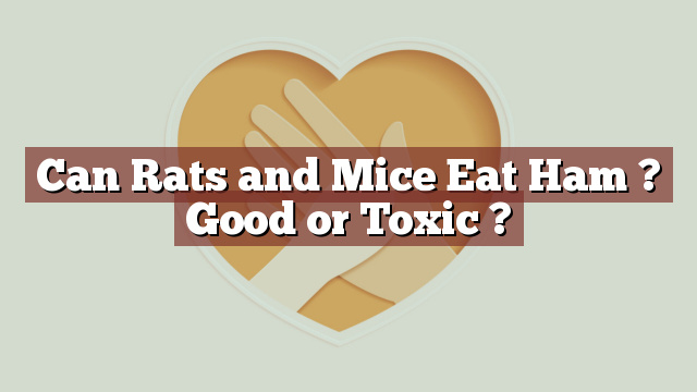 Can Rats and Mice Eat Ham ? Good or Toxic ?