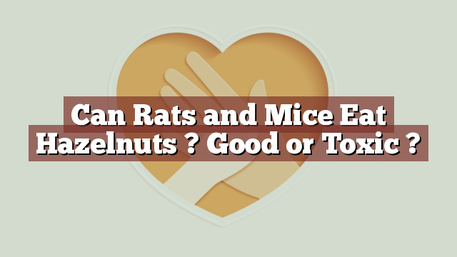 Can Rats and Mice Eat Hazelnuts ? Good or Toxic ?
