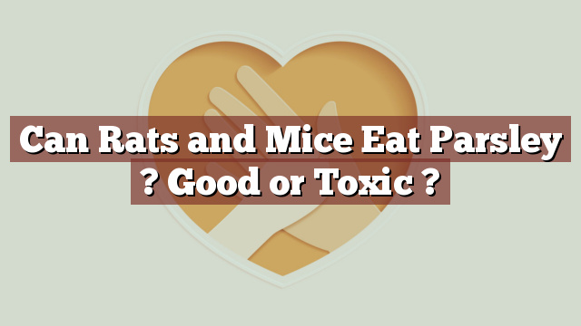 Can Rats and Mice Eat Parsley ? Good or Toxic ?