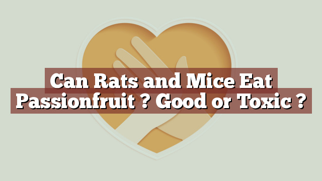 Can Rats and Mice Eat Passionfruit ? Good or Toxic ?