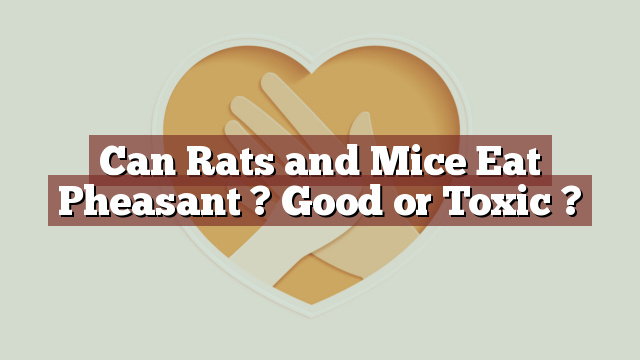 Can Rats and Mice Eat Pheasant ? Good or Toxic ?