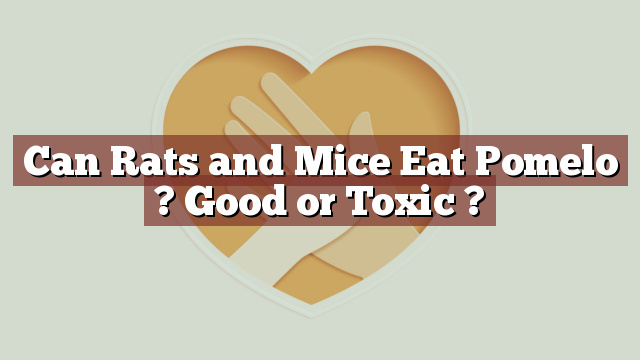 Can Rats and Mice Eat Pomelo ? Good or Toxic ?