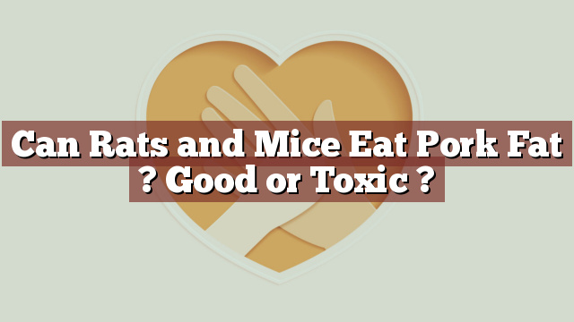 Can Rats and Mice Eat Pork Fat ? Good or Toxic ?