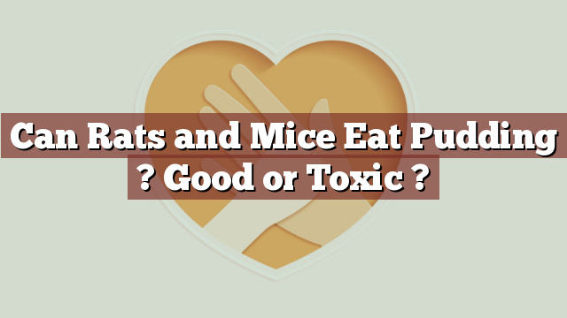 Can Rats and Mice Eat Pudding ? Good or Toxic ?