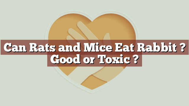 Can Rats and Mice Eat Rabbit ? Good or Toxic ?
