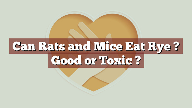 Can Rats and Mice Eat Rye ? Good or Toxic ?