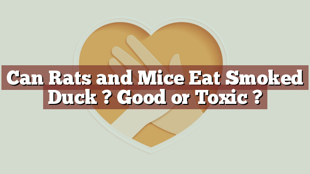 Can Rats and Mice Eat Smoked Duck ? Good or Toxic ?