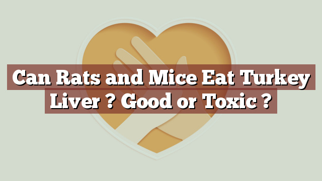 Can Rats and Mice Eat Turkey Liver ? Good or Toxic ?