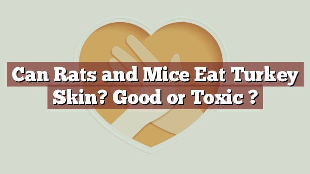Can Rats and Mice Eat Turkey Skin? Good or Toxic ?