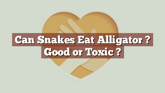 Can Snakes Eat Alligator ? Good or Toxic ?