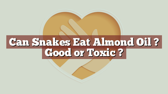 Can Snakes Eat Almond Oil ? Good or Toxic ?