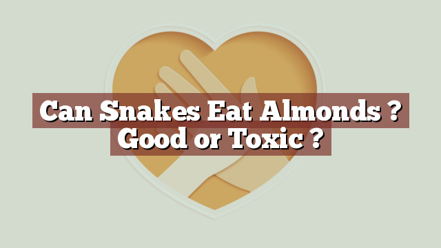 Can Snakes Eat Almonds ? Good or Toxic ?