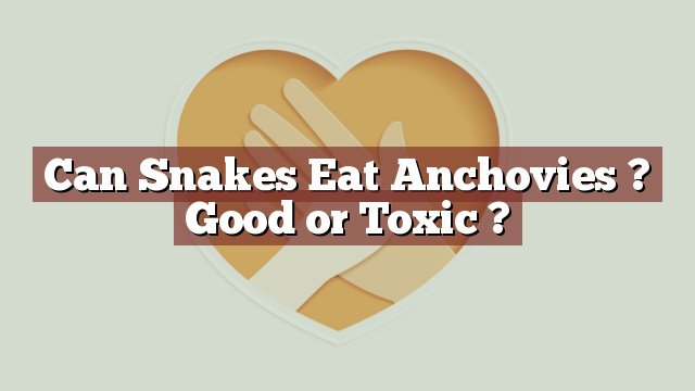 Can Snakes Eat Anchovies ? Good or Toxic ?