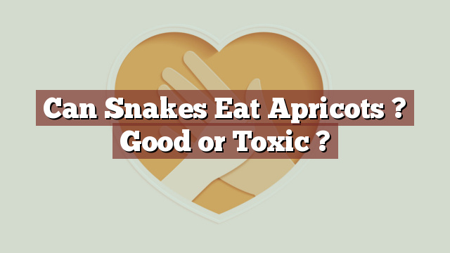 Can Snakes Eat Apricots ? Good or Toxic ?