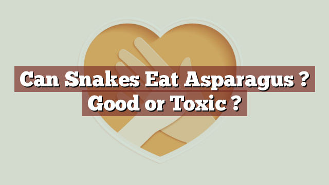 Can Snakes Eat Asparagus ? Good or Toxic ?