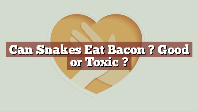 Can Snakes Eat Bacon ? Good or Toxic ?