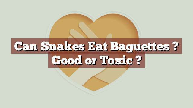 Can Snakes Eat Baguettes ? Good or Toxic ?