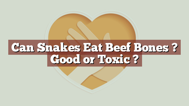 Can Snakes Eat Beef Bones ? Good or Toxic ?