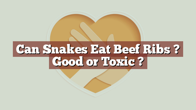 Can Snakes Eat Beef Ribs ? Good or Toxic ?