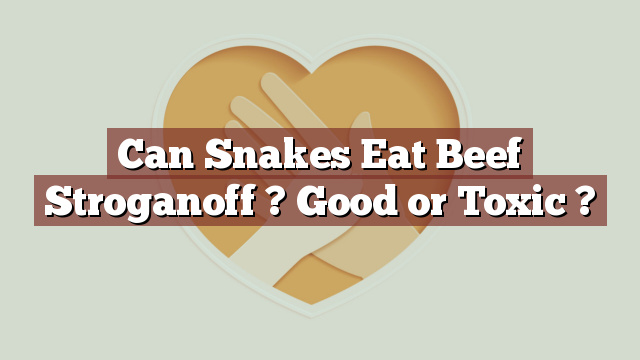 Can Snakes Eat Beef Stroganoff ? Good or Toxic ?
