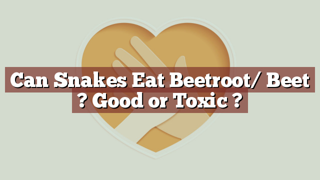 Can Snakes Eat Beetroot/ Beet ? Good or Toxic ?