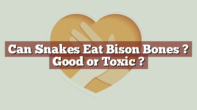 Can Snakes Eat Bison Bones ? Good or Toxic ?
