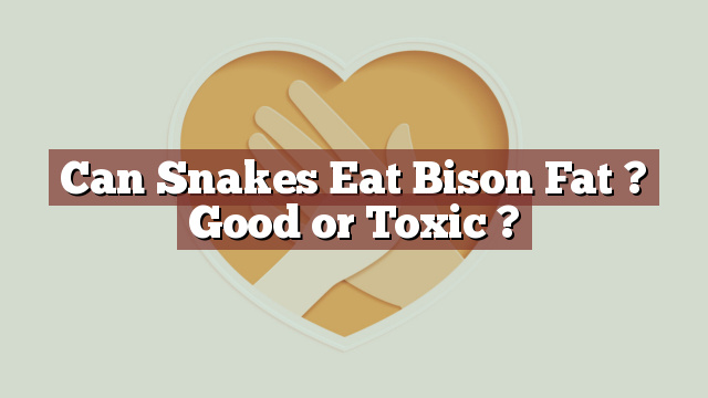 Can Snakes Eat Bison Fat ? Good or Toxic ?