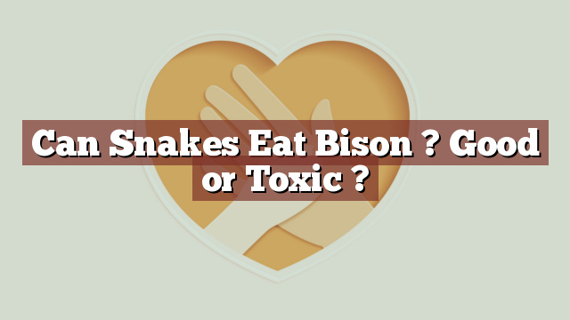 Can Snakes Eat Bison ? Good or Toxic ?