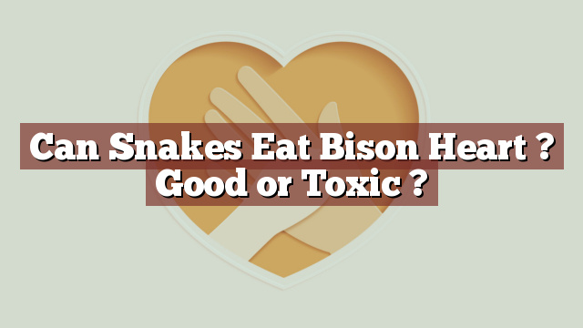 Can Snakes Eat Bison Heart ? Good or Toxic ?